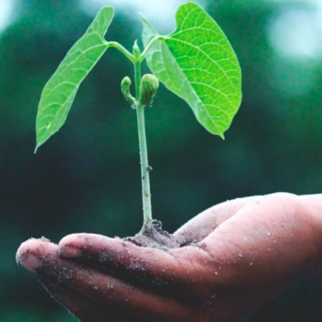Calidad y medio ambiente Ingefrío