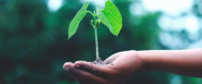 Calidad y medio ambiente Ingefrío